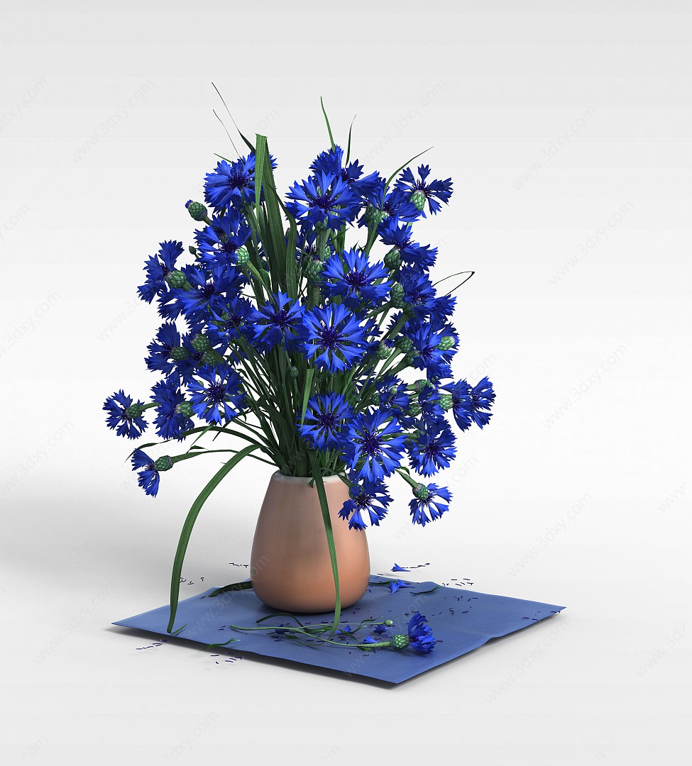 矢车菊3D模型