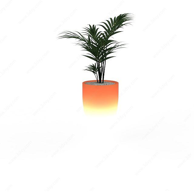 观赏植物3D模型