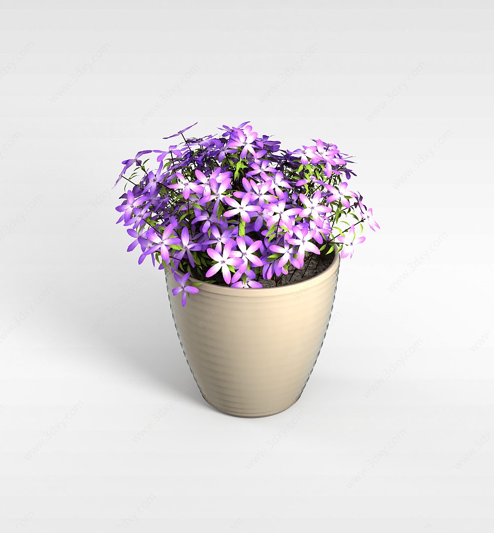 紫色盆栽植物3D模型