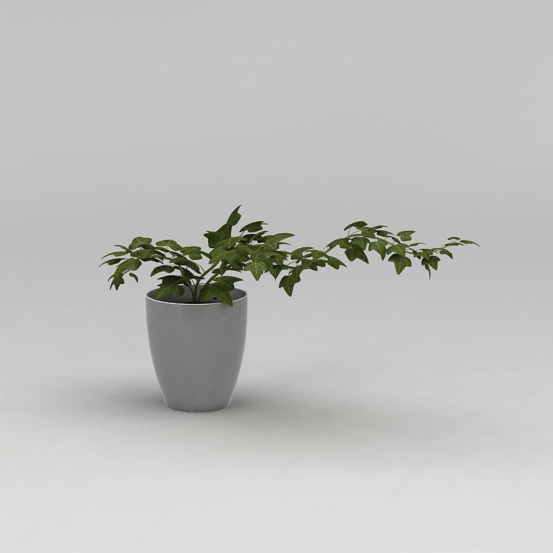 绿植花盆3D模型