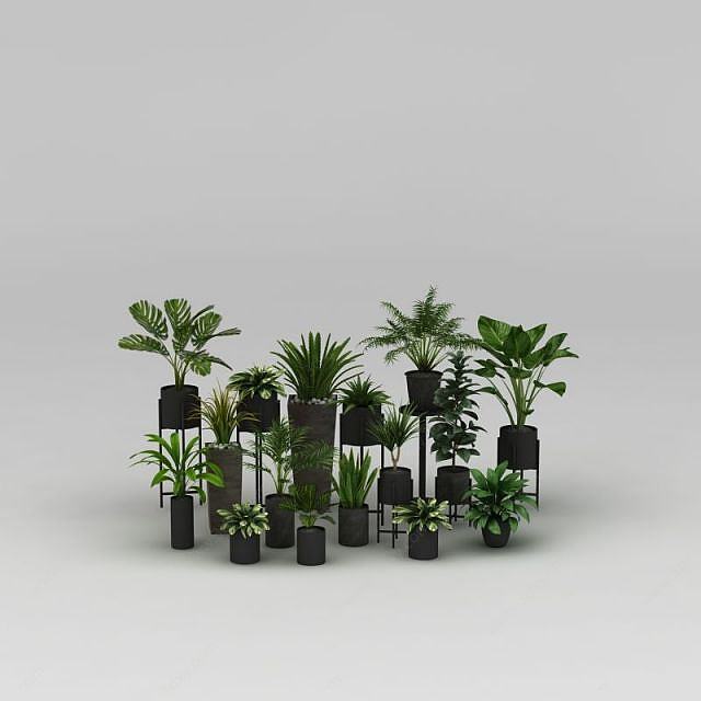 植物盆栽组合3D模型