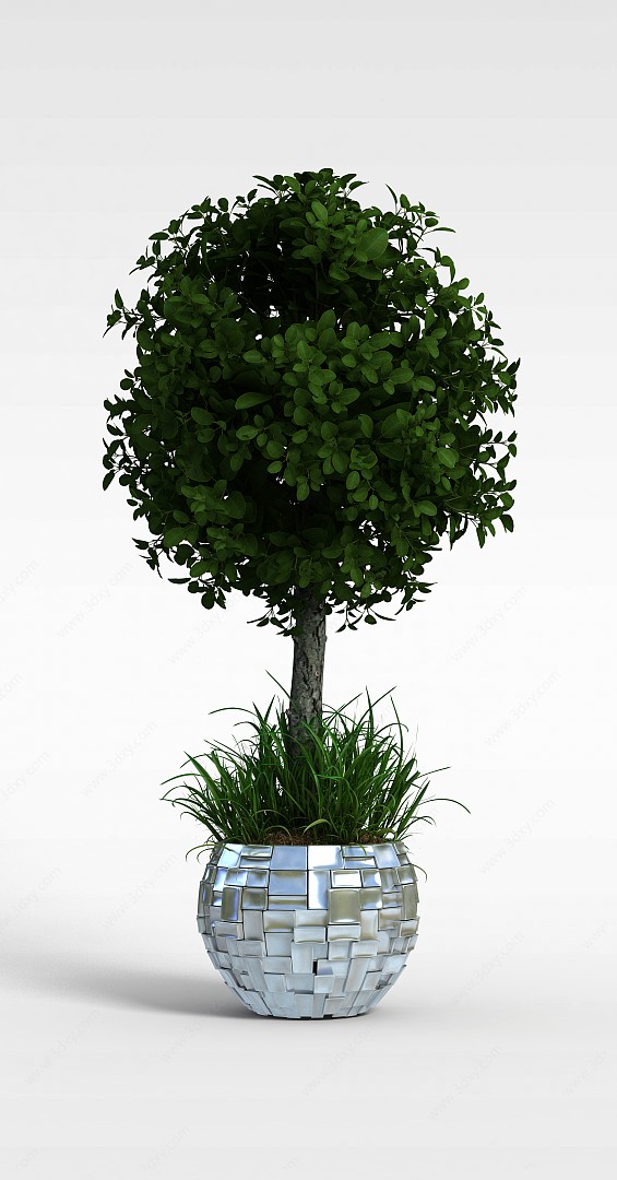 绿植盆栽3D模型