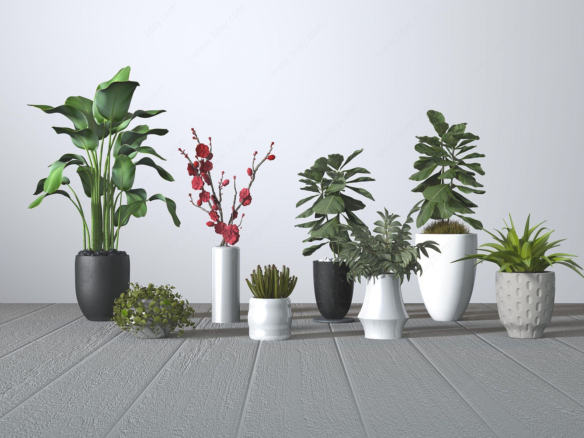 现代植物盆栽组合3D模型