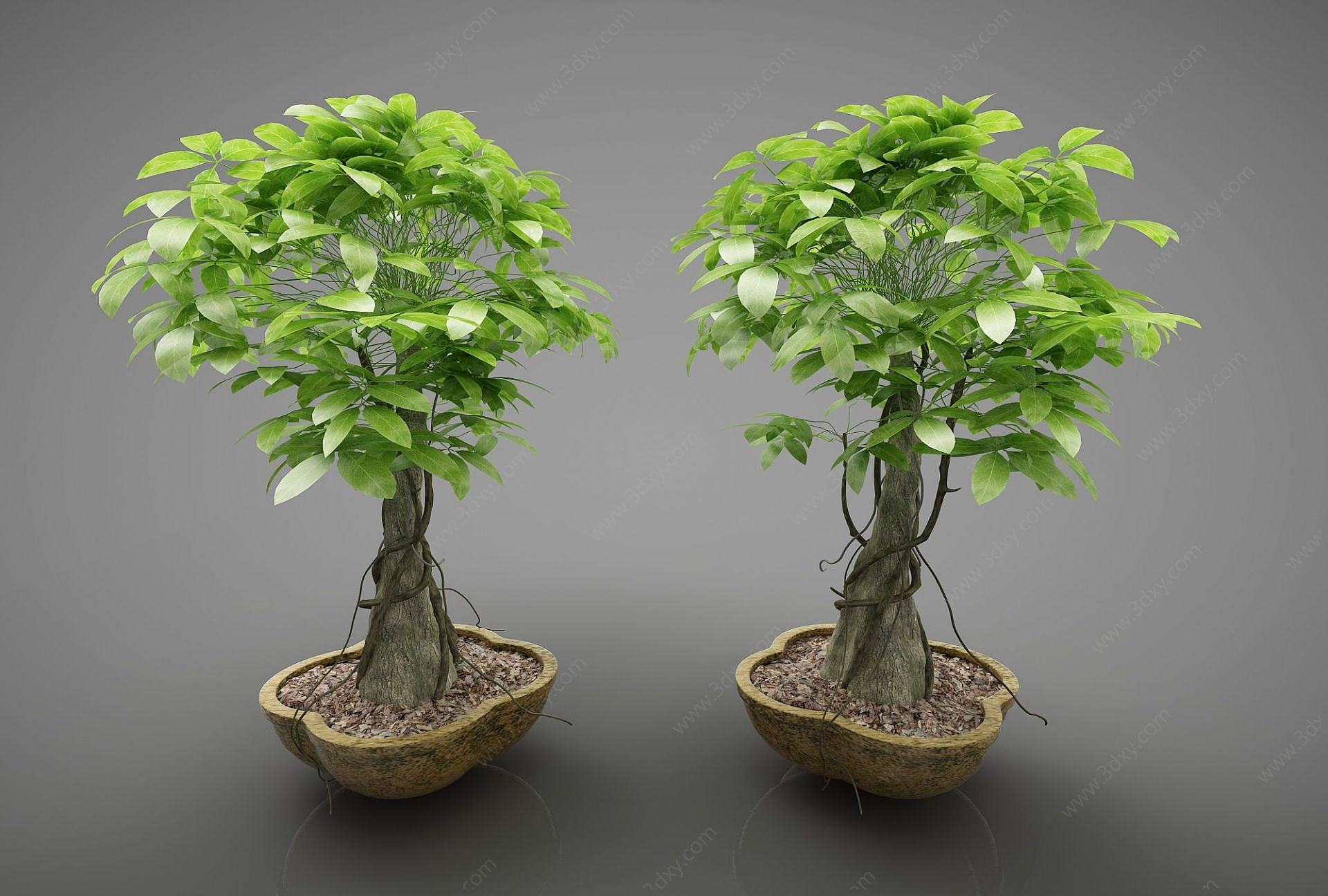 现代风格植物3D模型