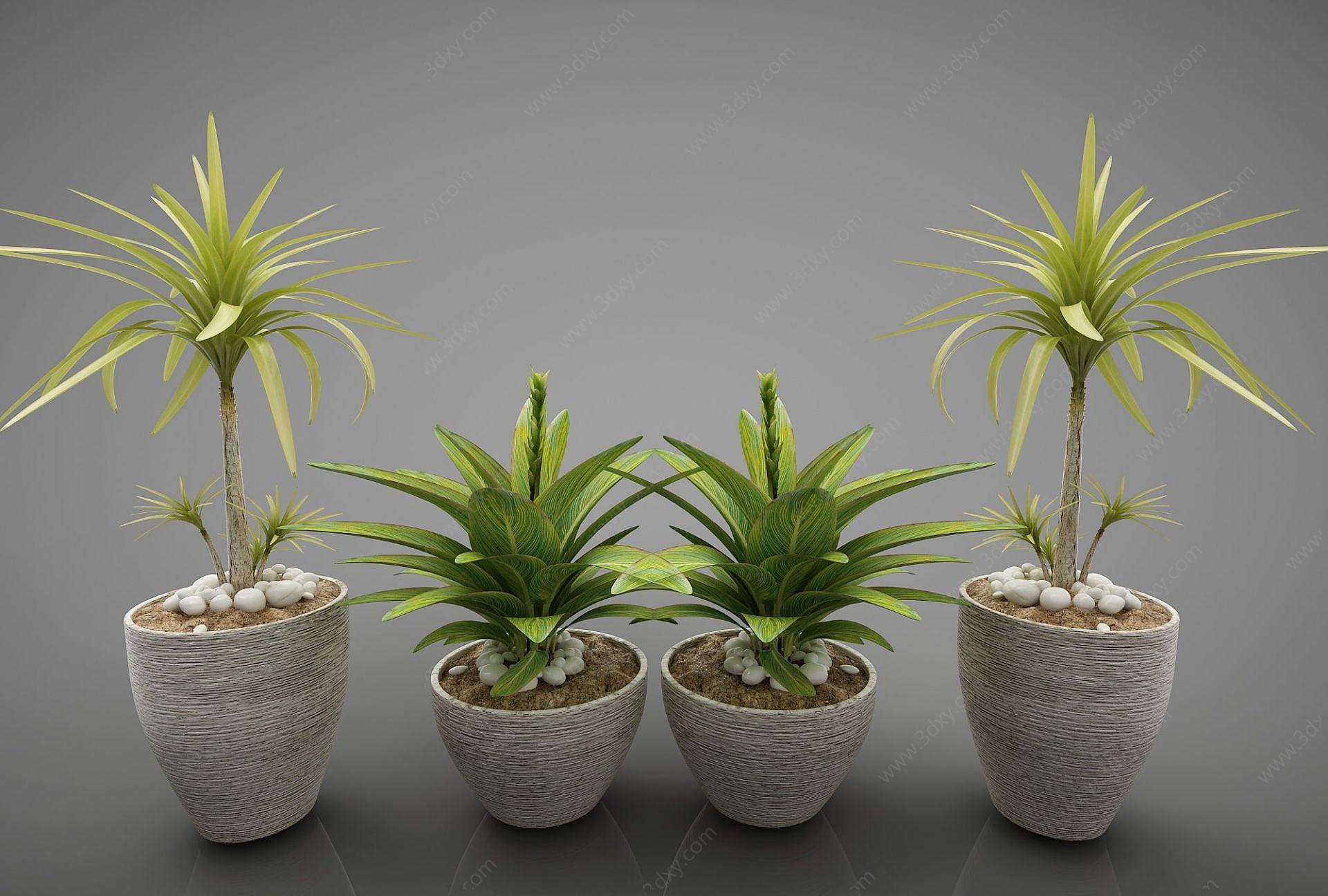 现代风格植物3D模型