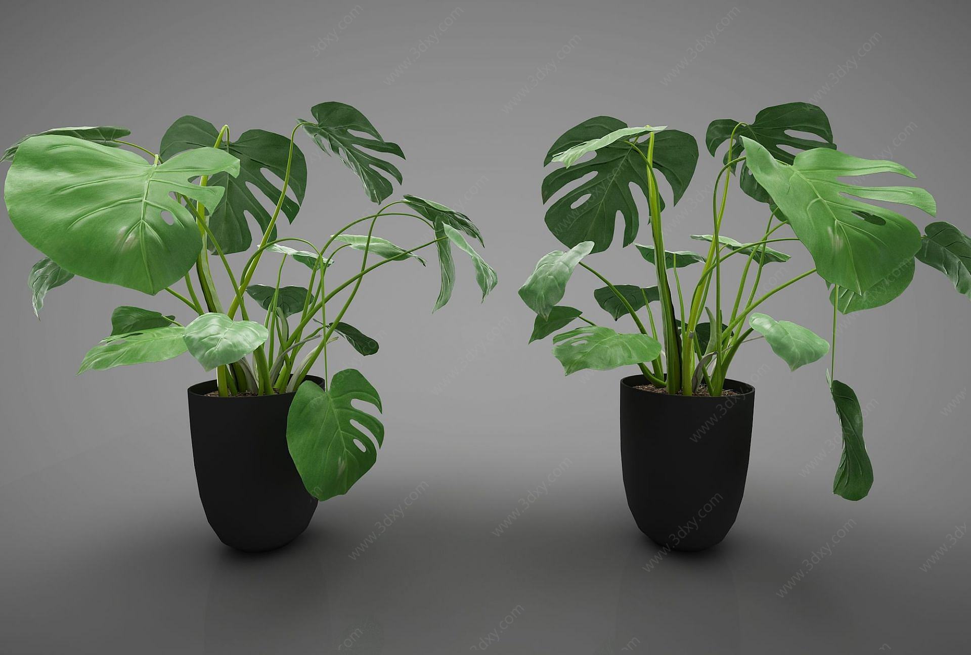 现代风格植物3D模型