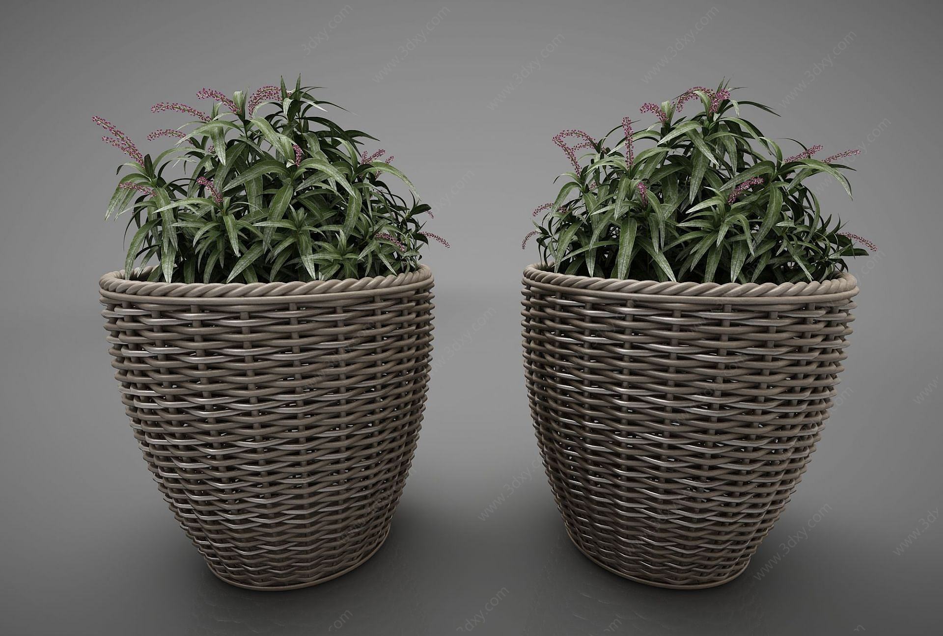 现代风格植物3D模型