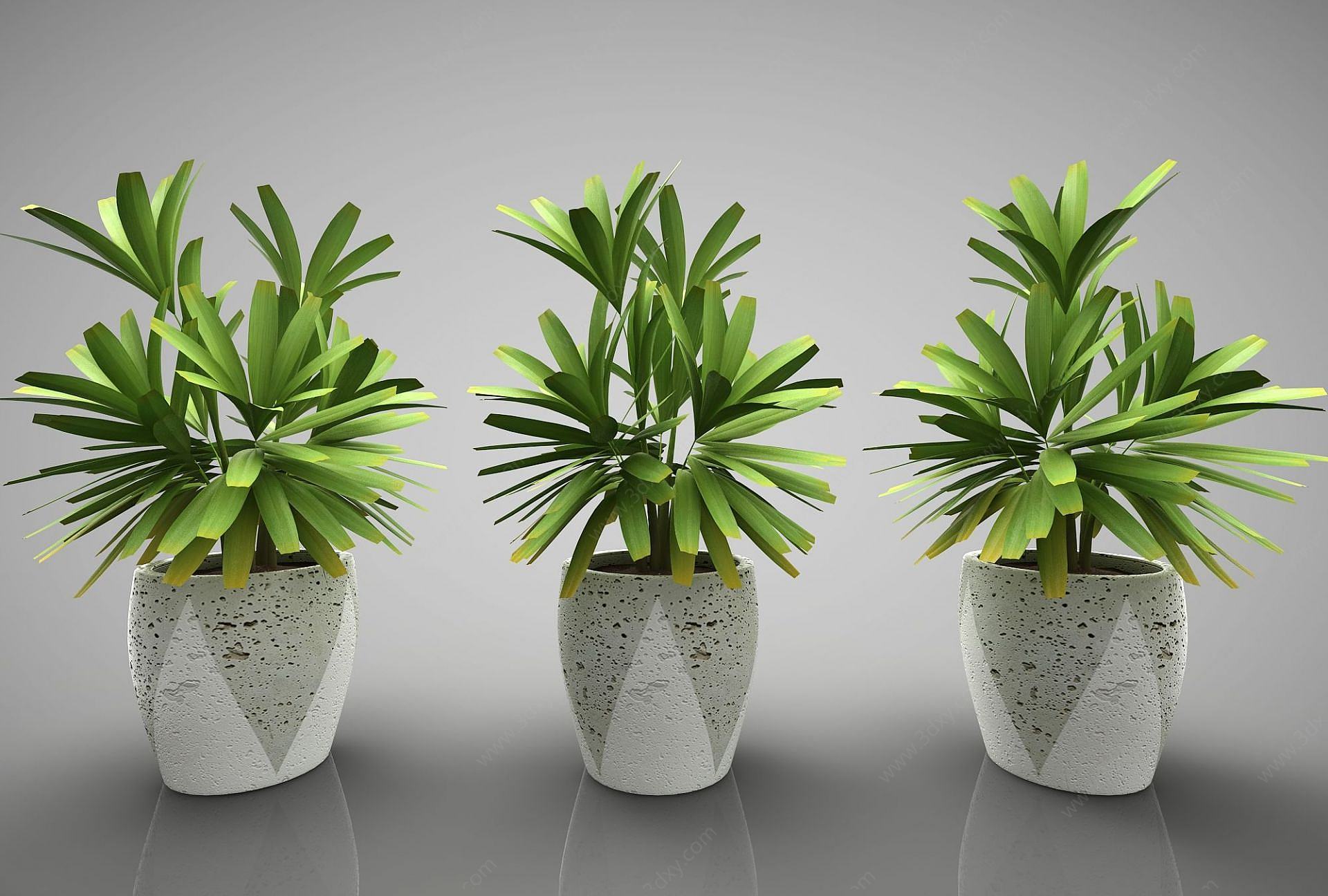 现代风格植物3D模型