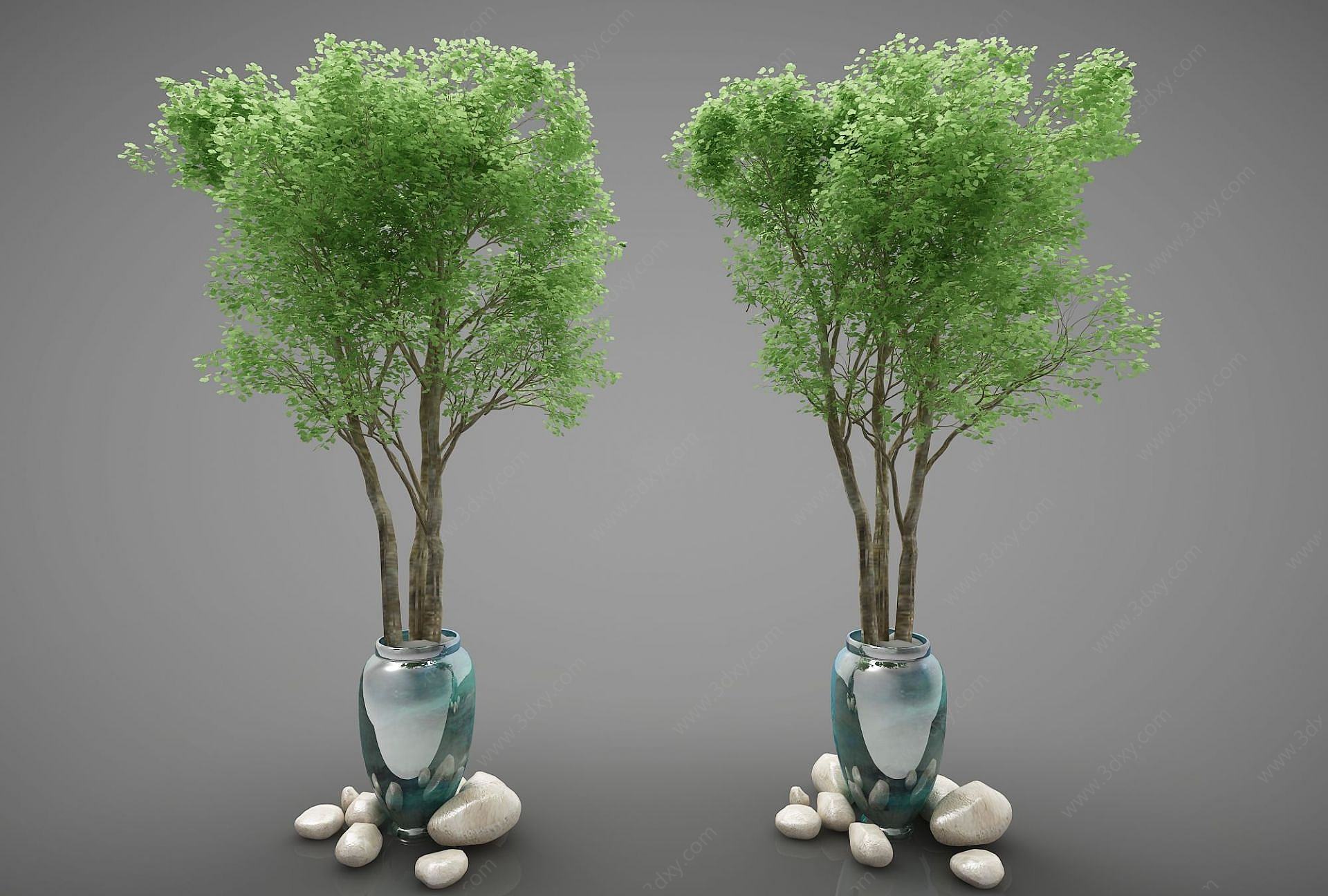 现代装饰植物3D模型