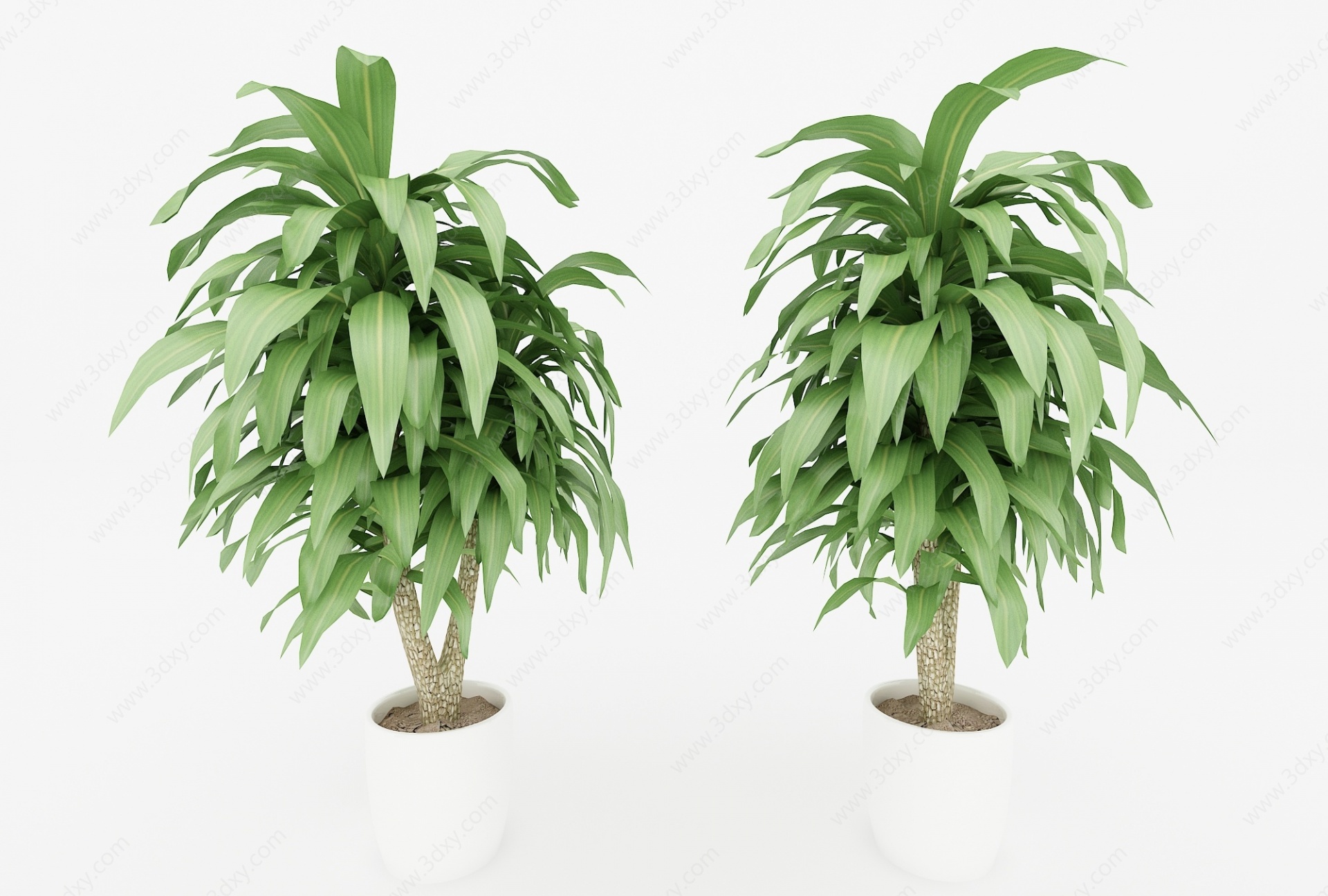 现代风格植物3D模型