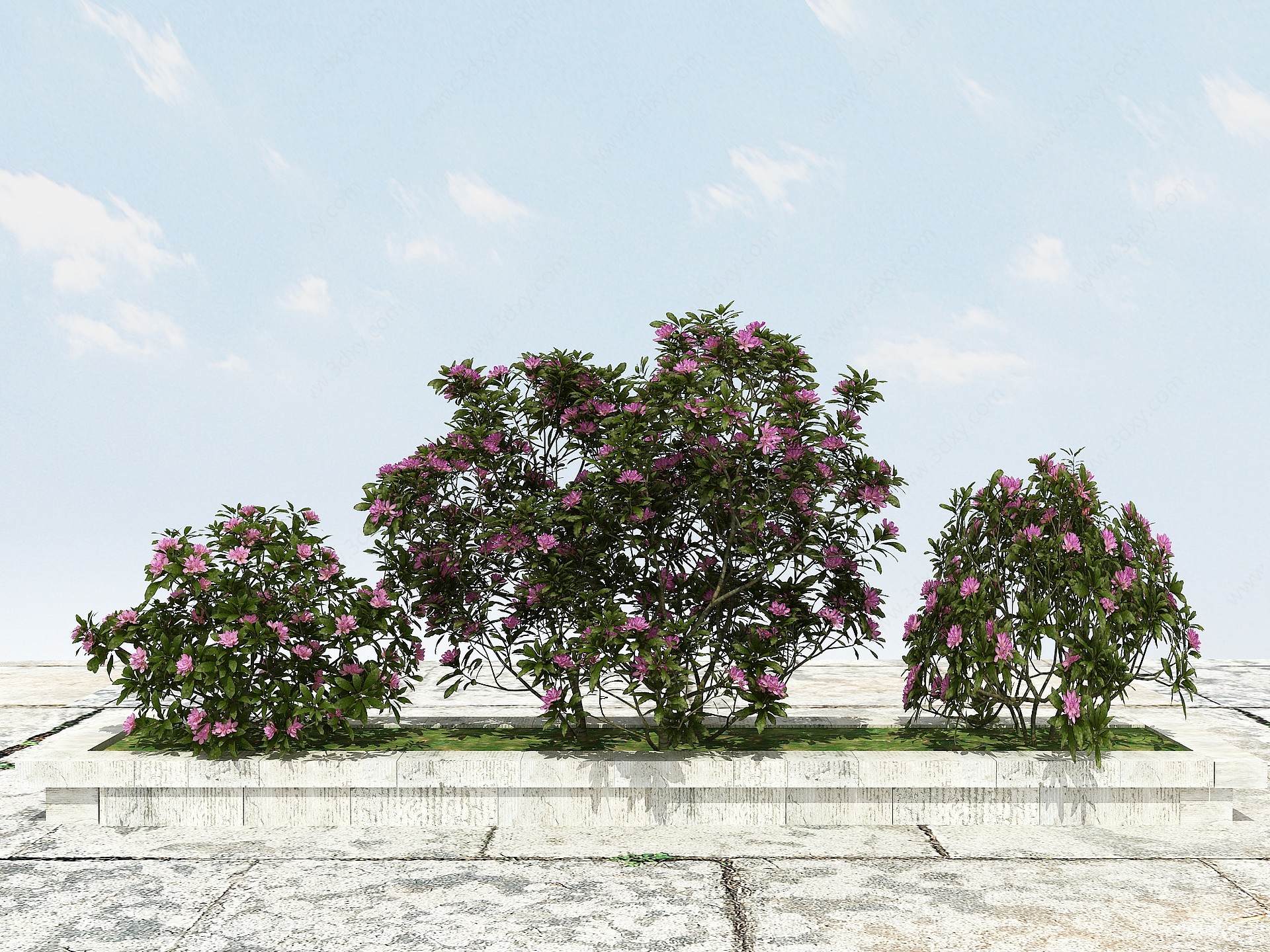 杜鹃花景观植物3D模型