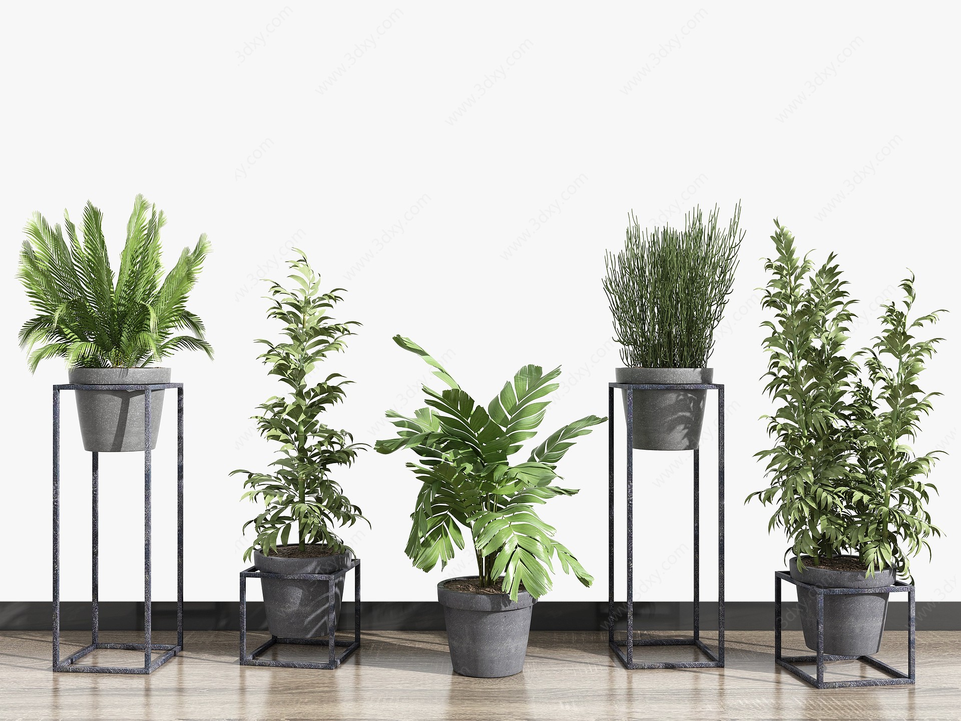 北欧植物3D模型