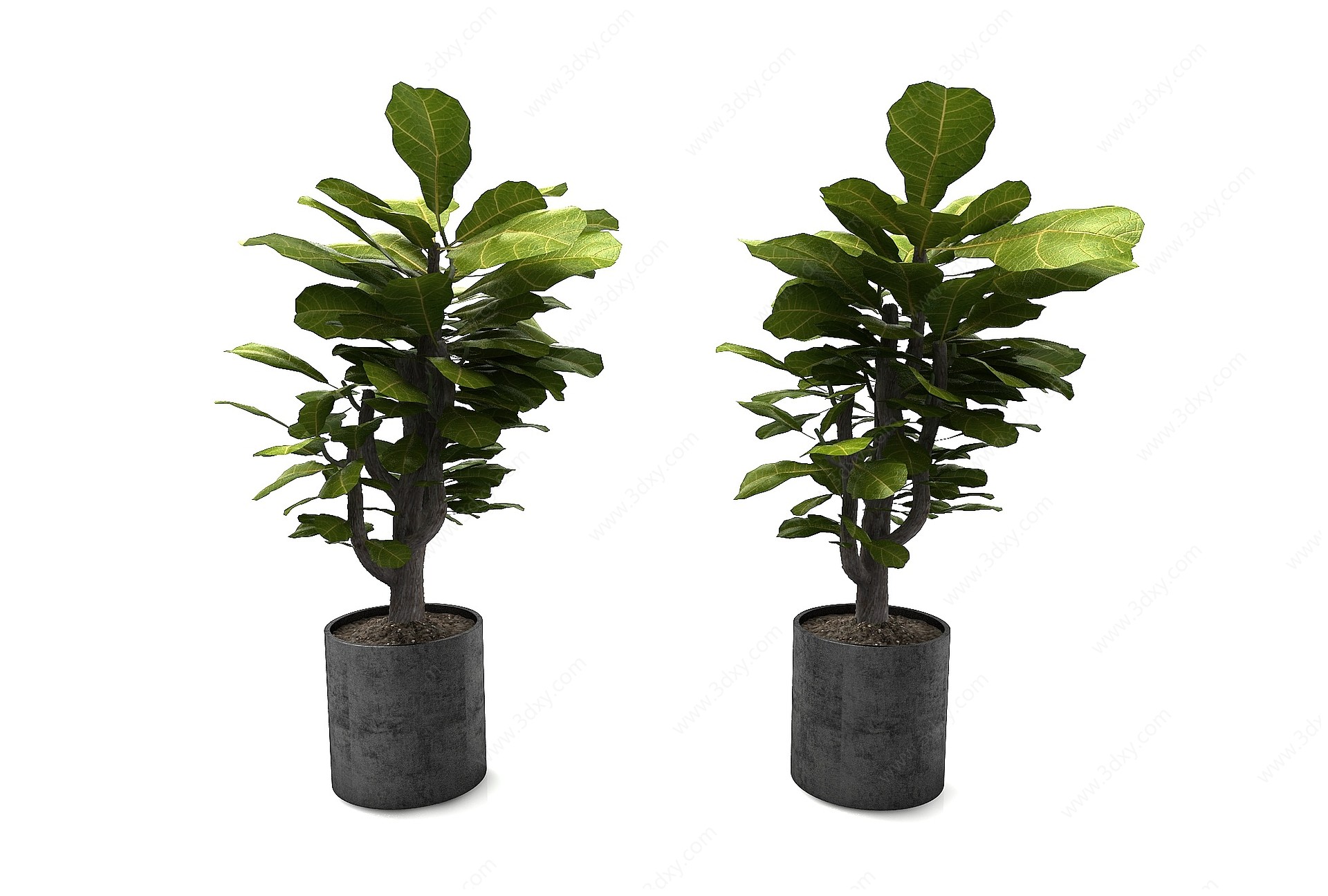 现代风格植物3D模型