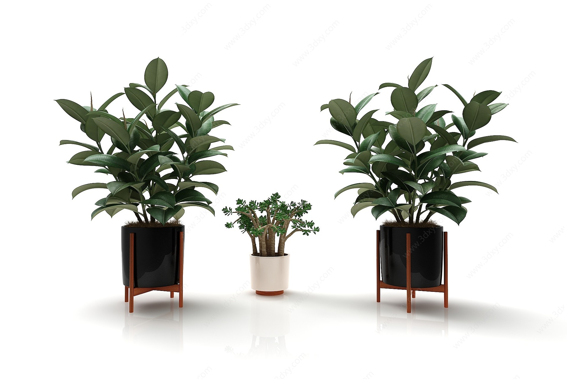 现代风格植物花盆3D模型