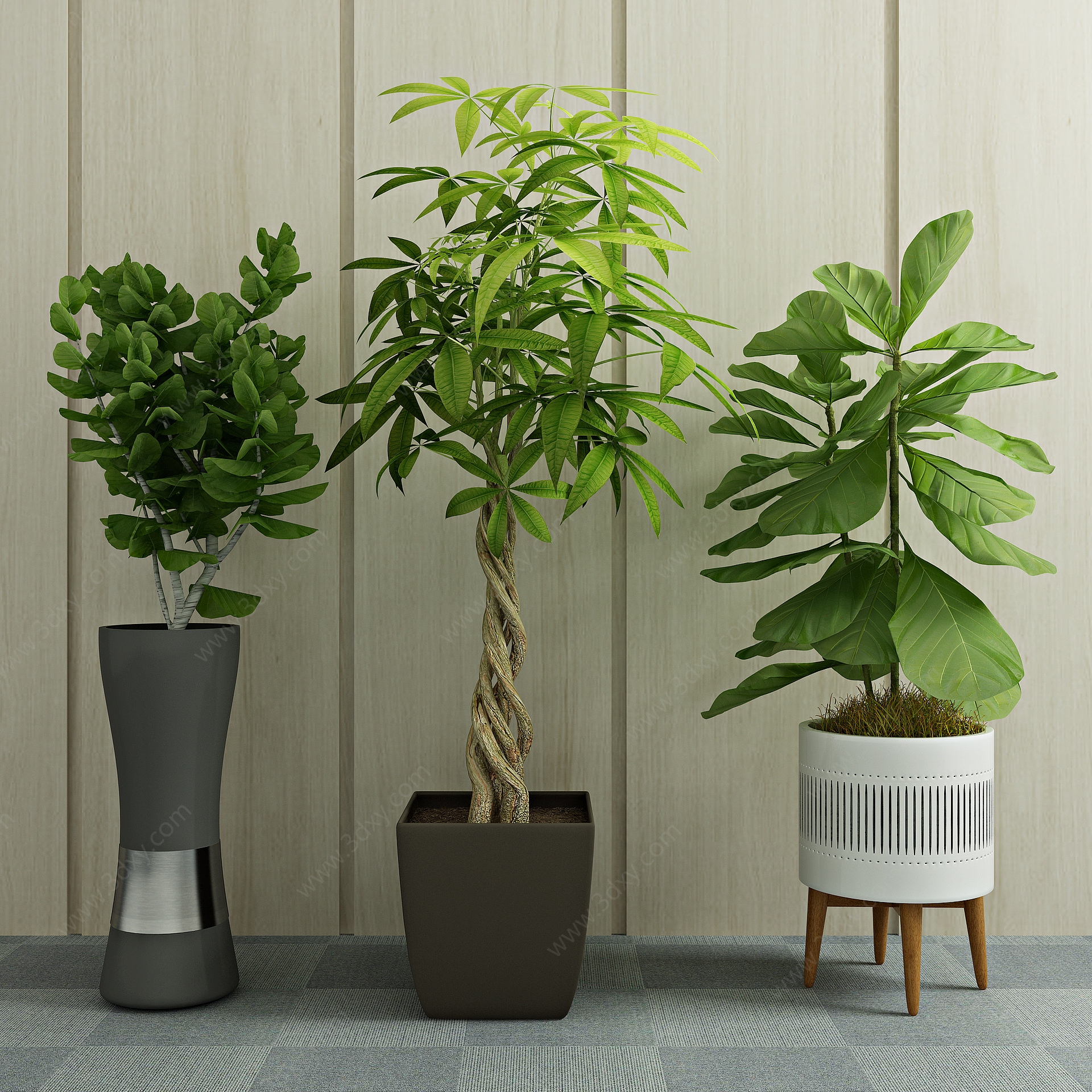 现代绿植盆栽植物3D模型