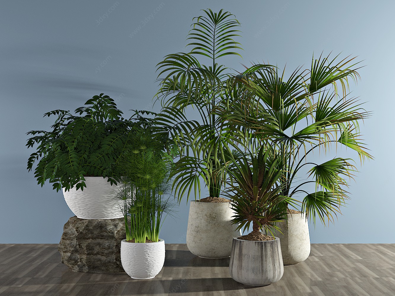 现代绿植盆栽植物3D模型