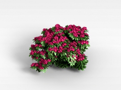 植物花草模型3d模型