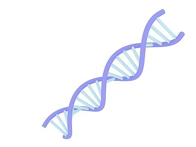 3dDNA分子结构模型