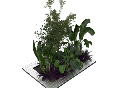 3d现代绿植盆栽模型