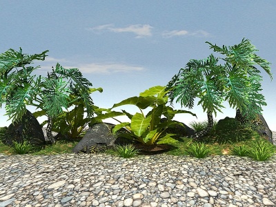 3d常绿景观植物模型