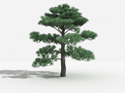 3d<font class='myIsRed'>中式黑松灌木</font>树植物模型