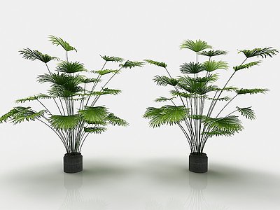 现代风格植物模型3d模型