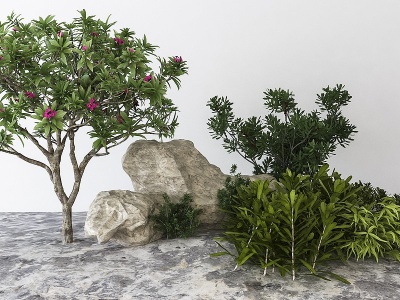 3d现代植物盆栽模型