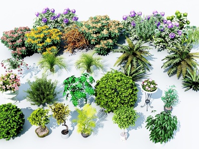 现代花草绿植模型3d模型